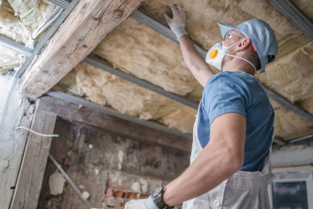 Best Insulation for Specific Applications in Lake Jackson, TX