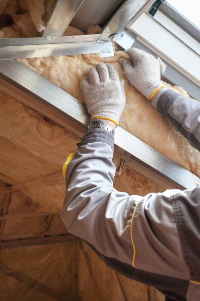 Best Insulation Installation Services in Lake Jackson, TX