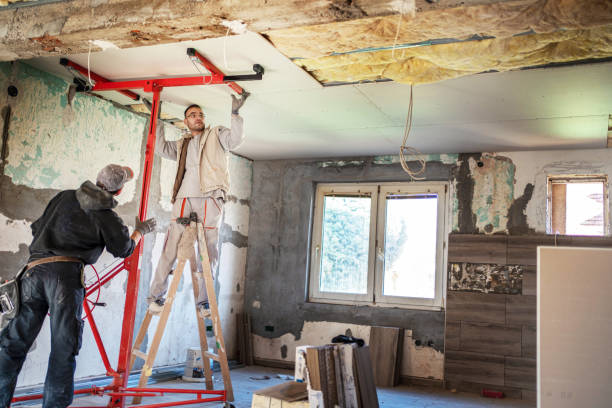 Best Insulation Maintenance and Repair in Lake Jackson, TX