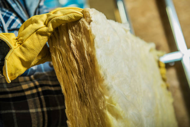 Best Insulation Maintenance and Repair in Lake Jackson, TX