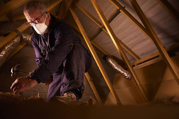 Best Commercial Insulation in Lake Jackson, TX